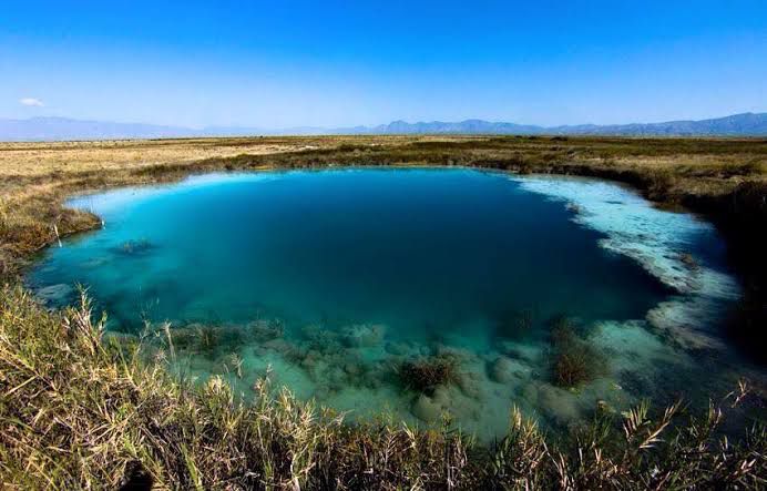 Premian a documental sobre explotacion ambiental en Cuatro Ciénegas