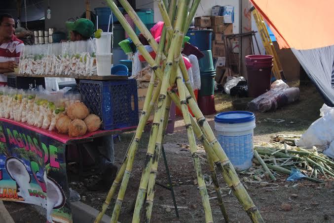 Vendedores ambulantes de Sabinas se preparan para la Feria del Hueso