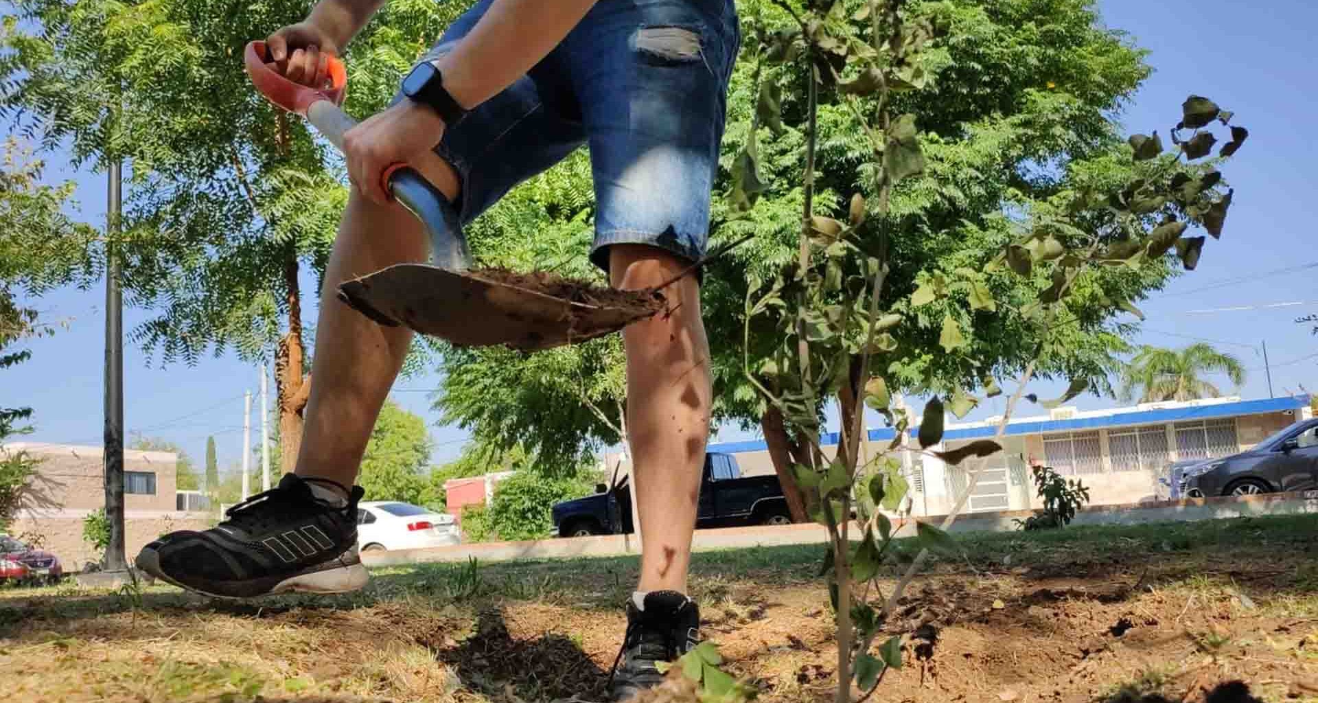 Cumplirá municipio de Saltillo con reforestación