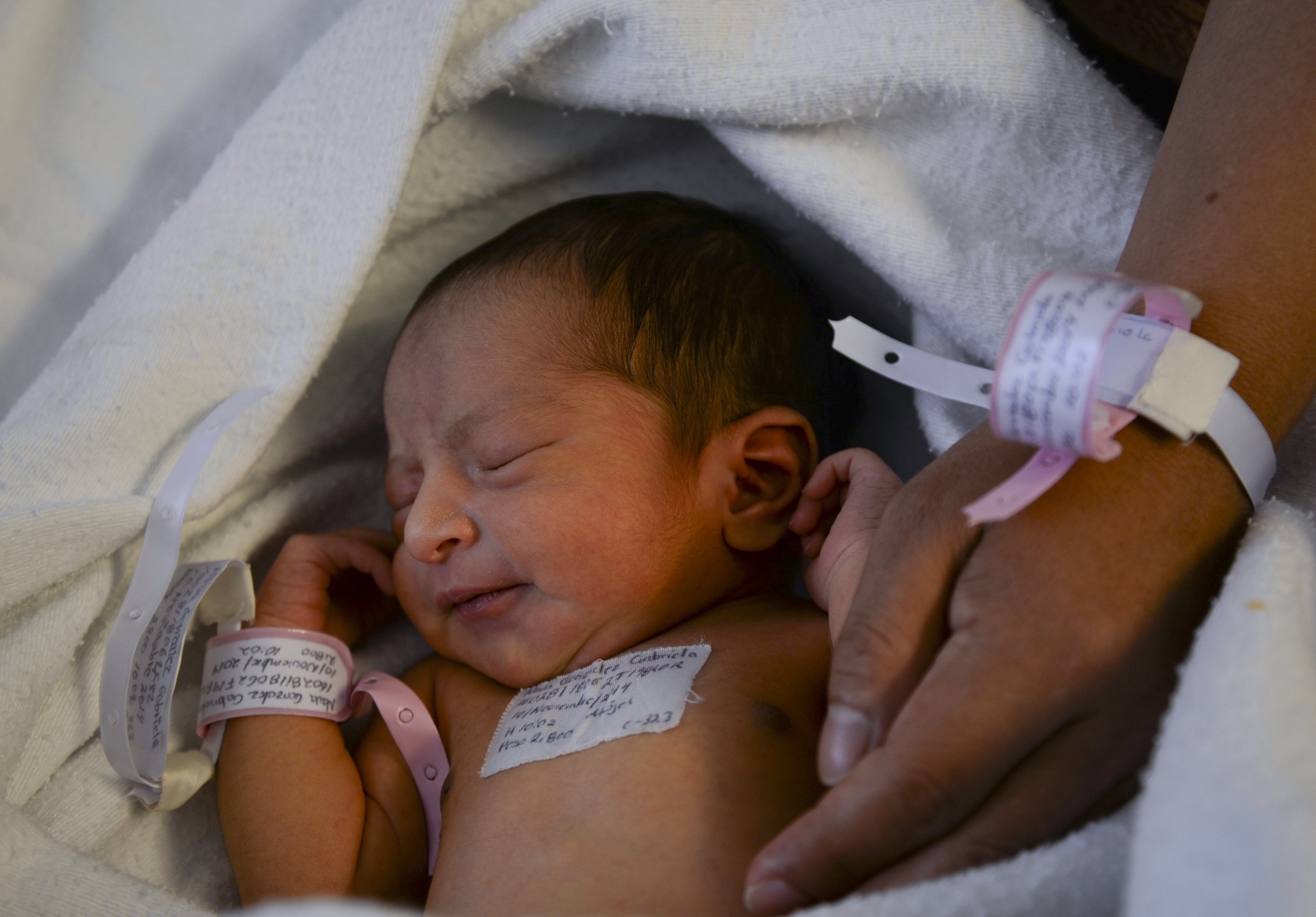 Apoyará Tec de Monterrey a la asociación Matatena