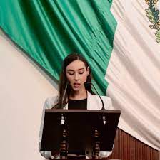 Propone Morena eliminar quinto consejero del ICAI