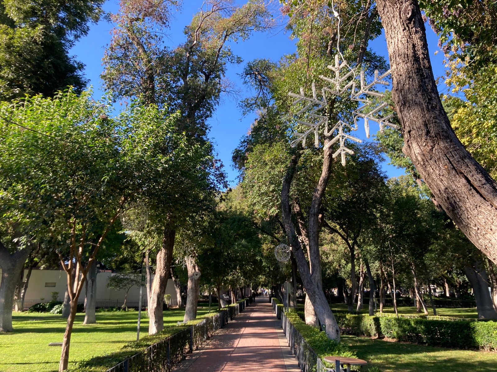 Preparan actividades navideñas para los saltillenses