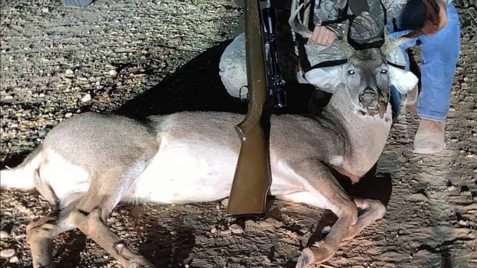 Arranca temporada de cacería de venado cola blanca