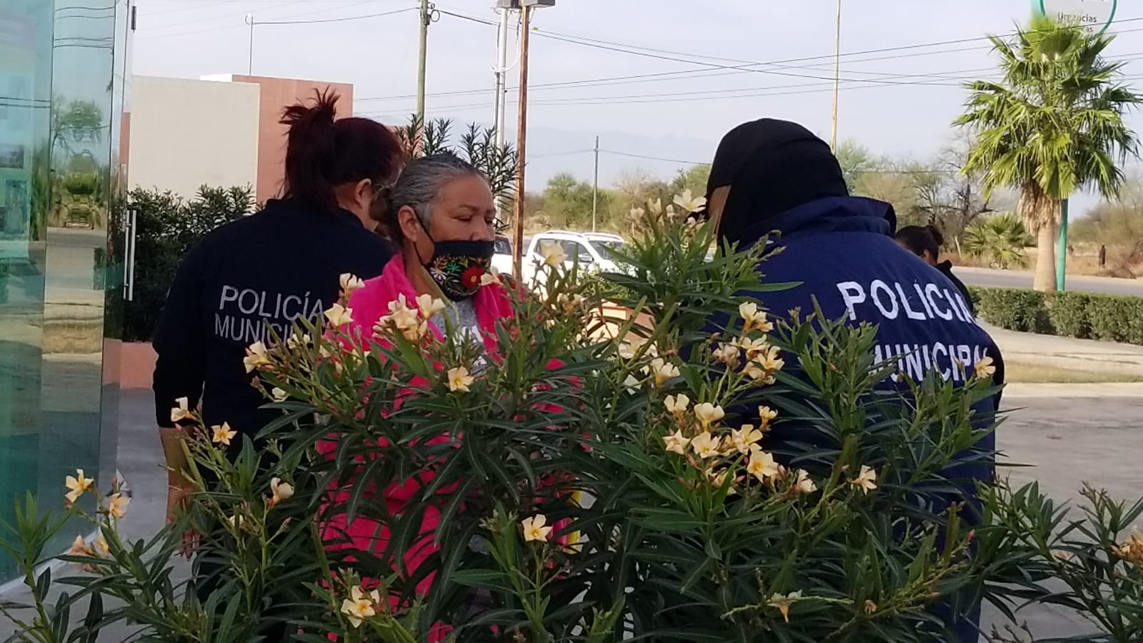 En Múzquiz, una mujer fue atacada por dos perros Pitbull; fue hospitalizada