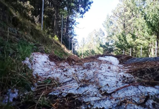 Pronostican caída de aguanieve en la sierra de Arteaga