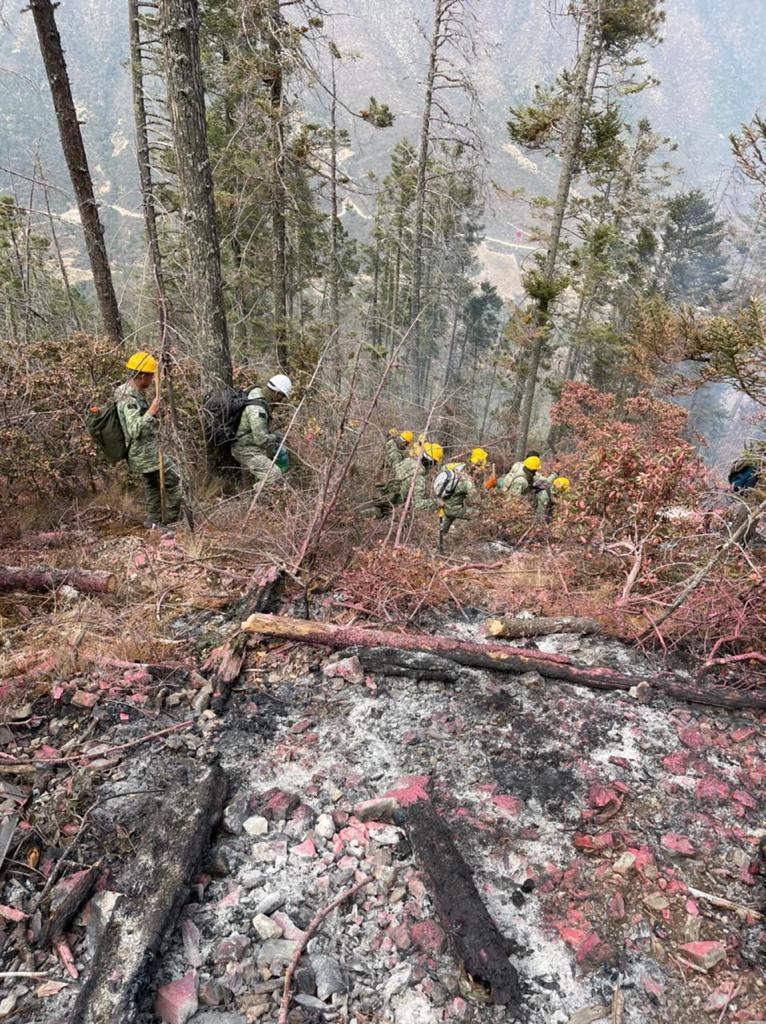 Imposible, cuantificar los daños en incendio de la Pinalosa