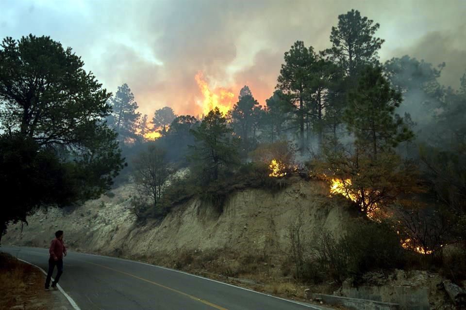 Aún sin concluir las investigaciones del incendio de la Sierra de Arteaga