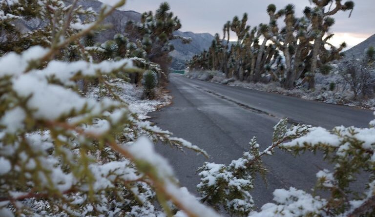 Preparan operativos ante la llegada de la tercera tormenta invernal