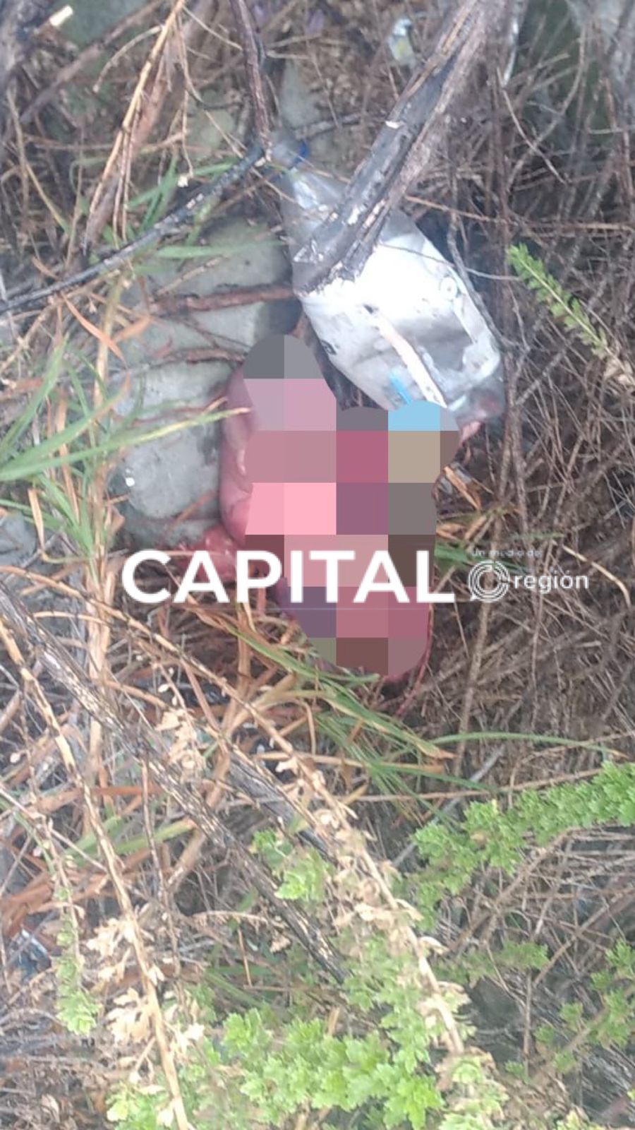 Encuentran a feto el terreno baldío.