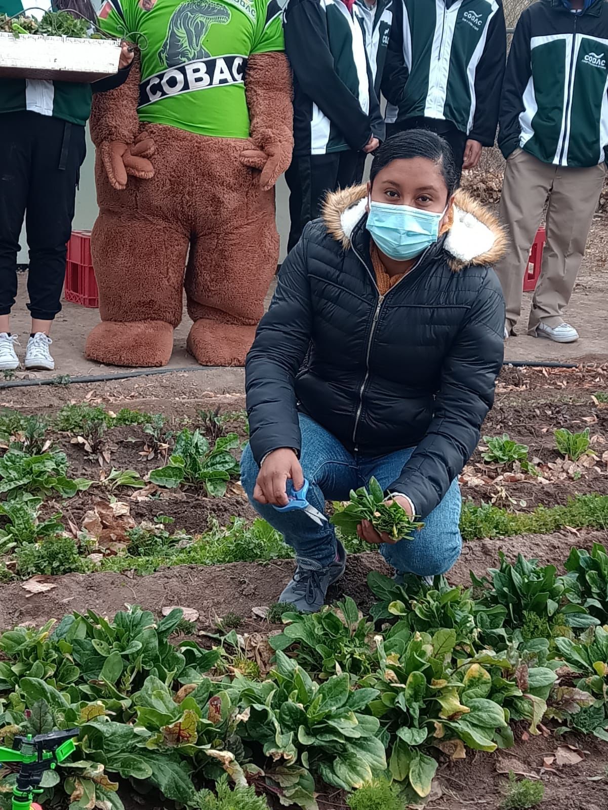Cultivan frutas y verduras para apoyar a sus familias
