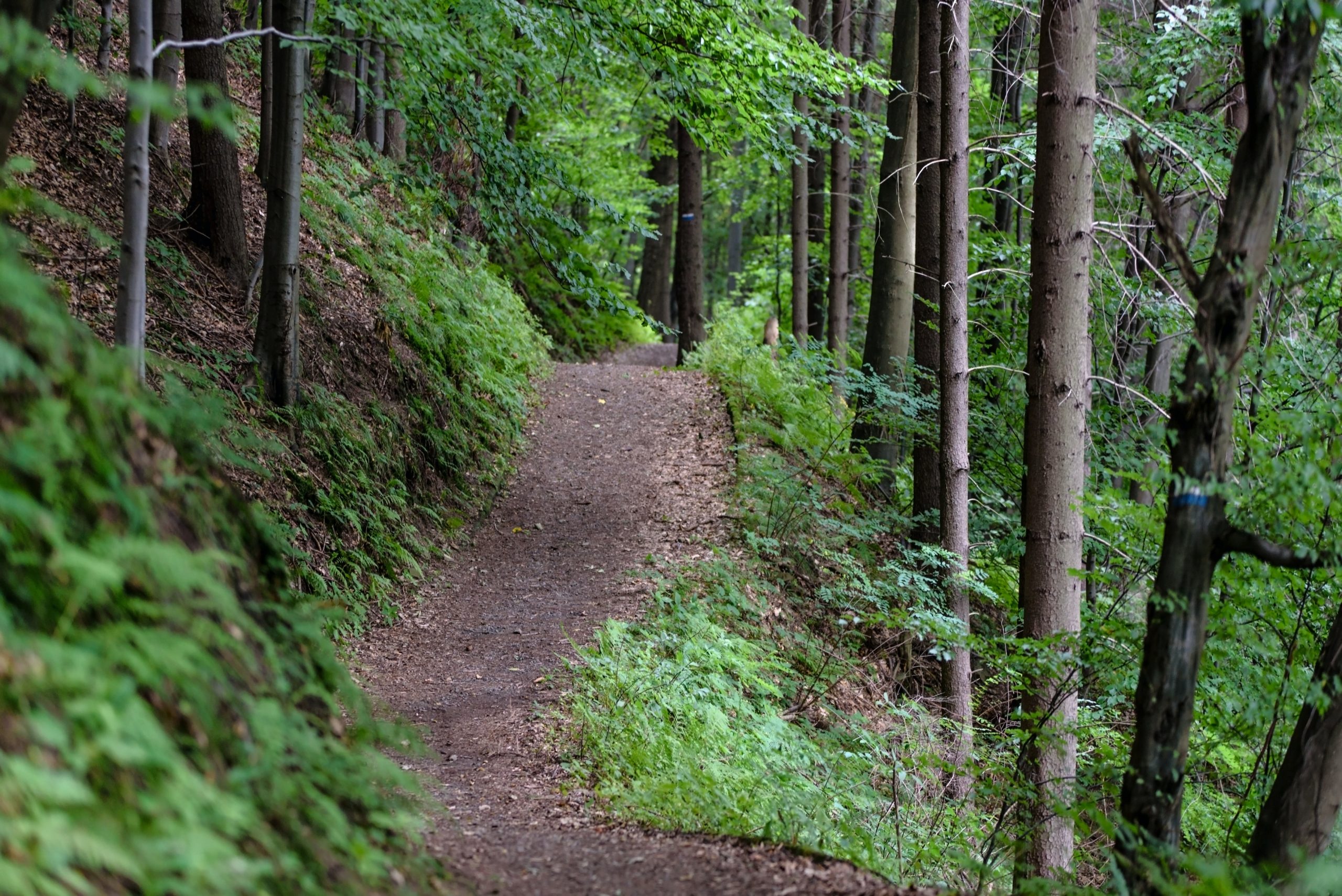 Aumentan recorridos en las sierras de la Región Sureste