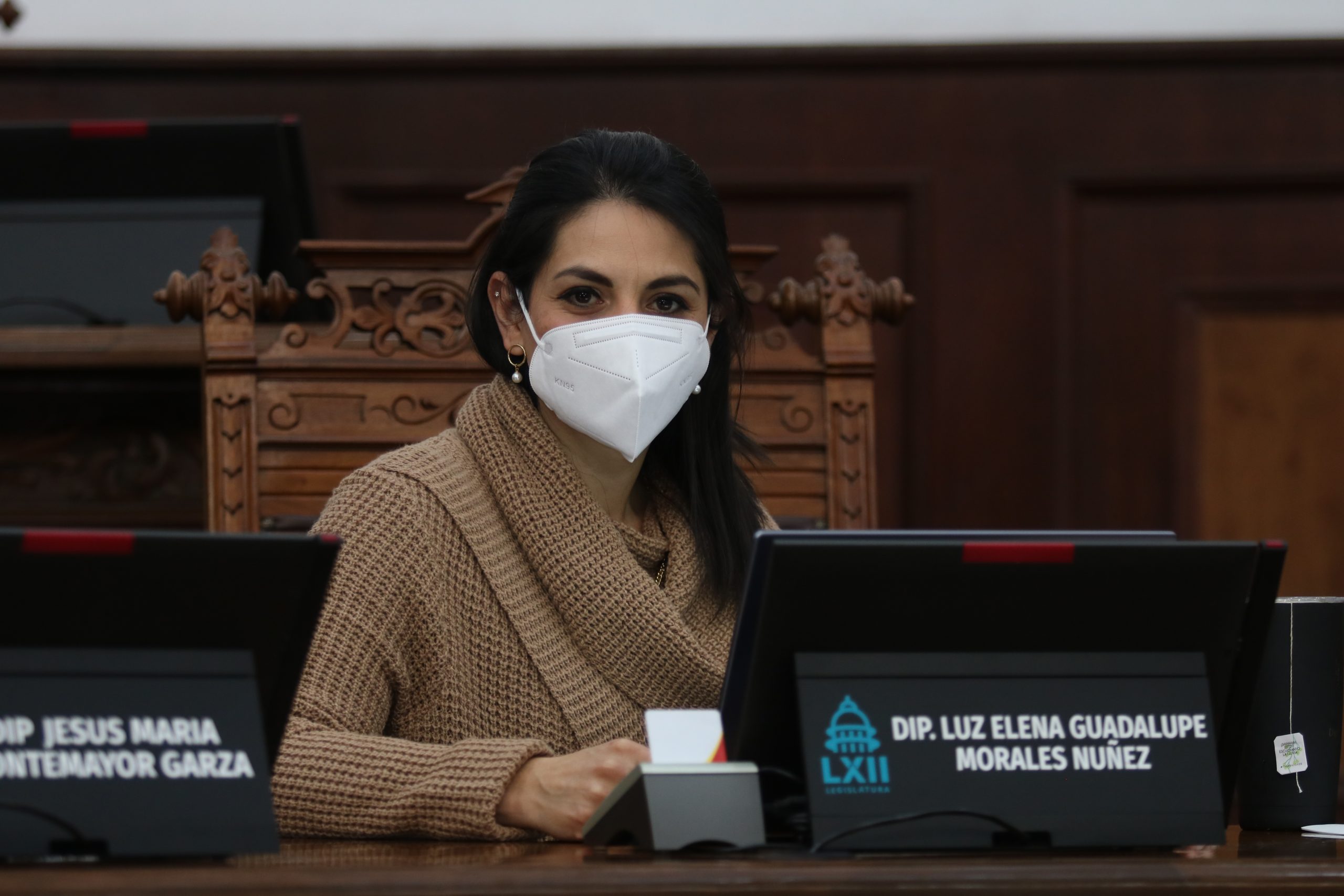 Deben revisar las leyes de pensión alimenticia: Diputada
