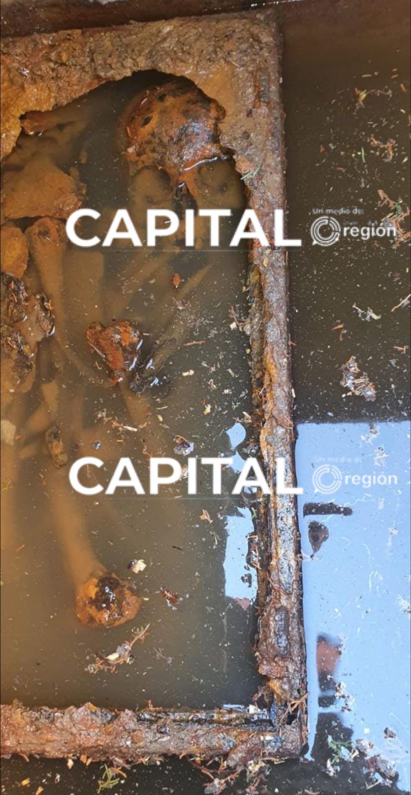 Localizan restos humanos