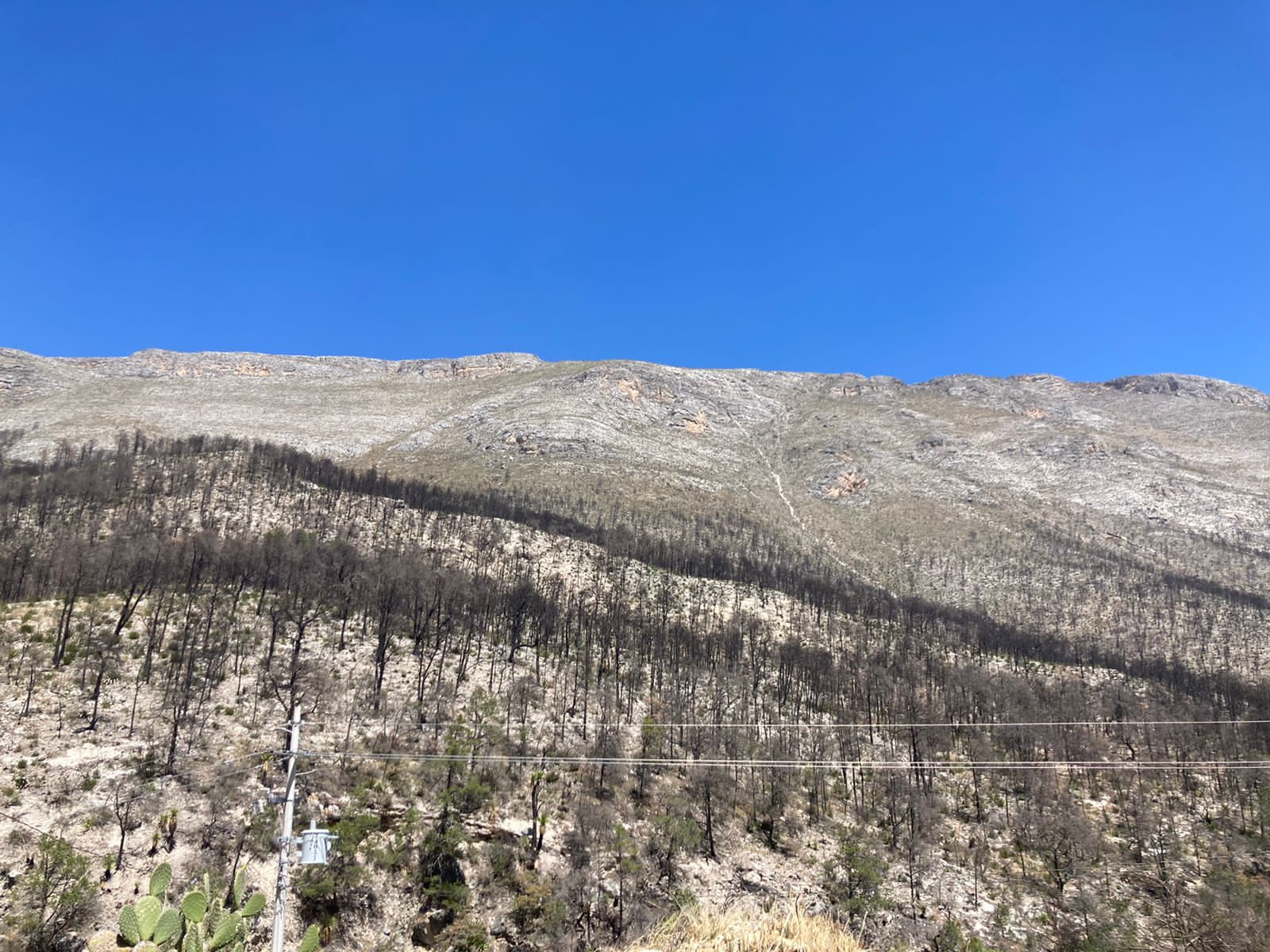 San Rafael, una comunidad en reconstrucción tras mega incendio