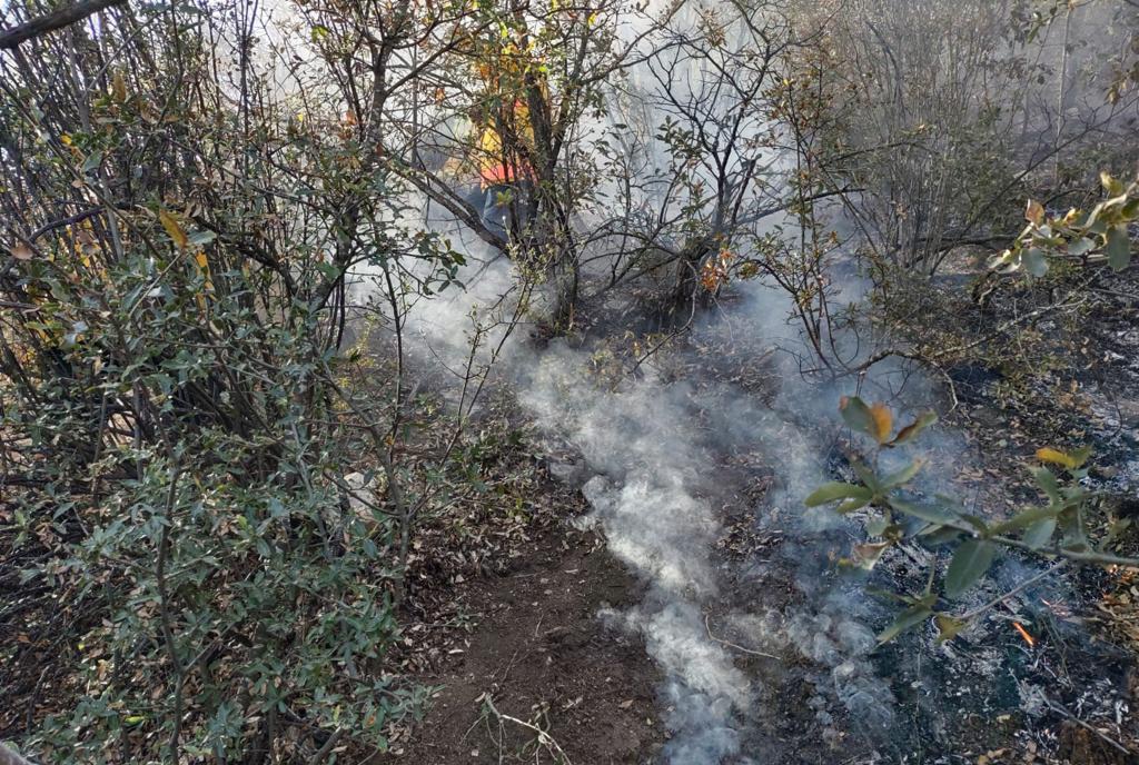 Controlan incendio en sierra de Zapalinamé