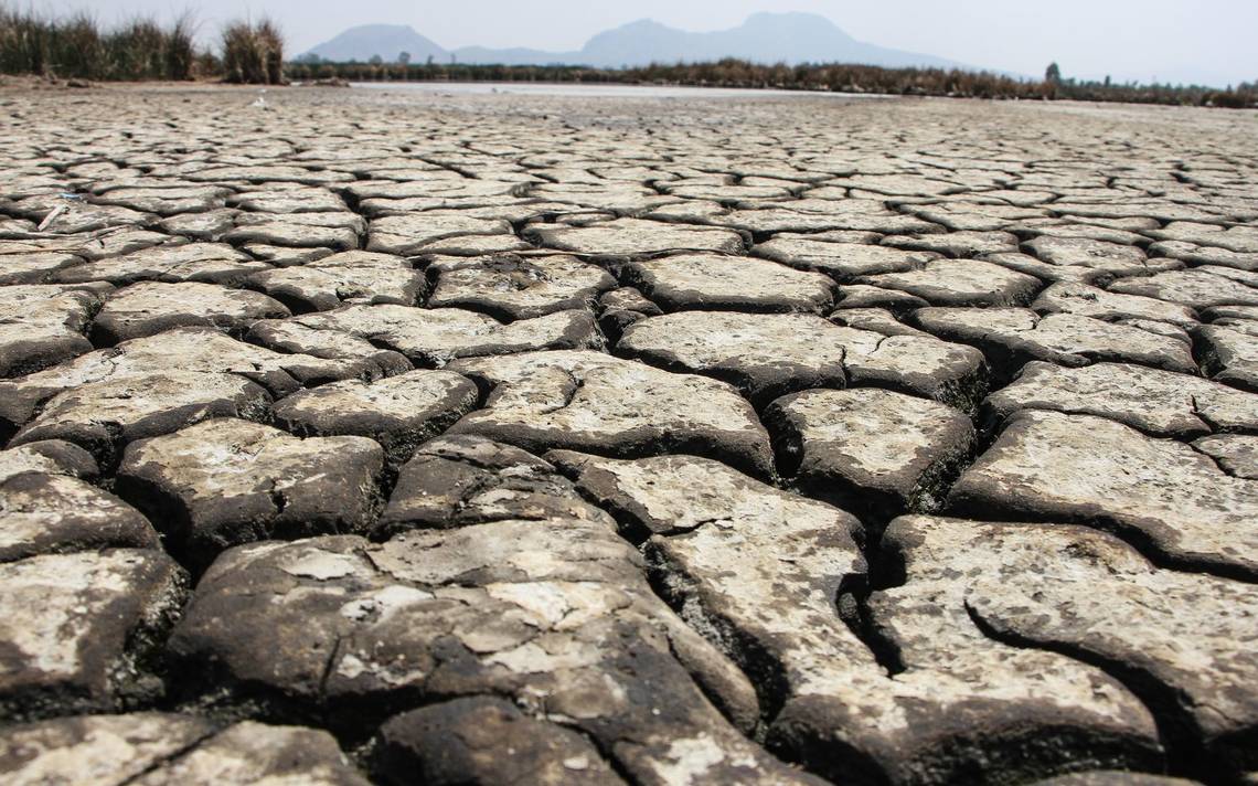 Pega sequía extrema a la zona norte de la entidad