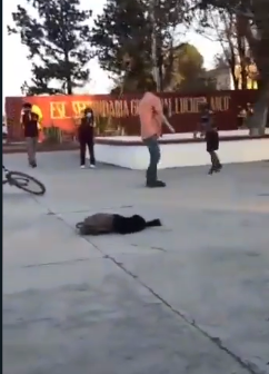 Difunden nuevo video de adulto sometiendo a menor en secundaria  de Muzquiz