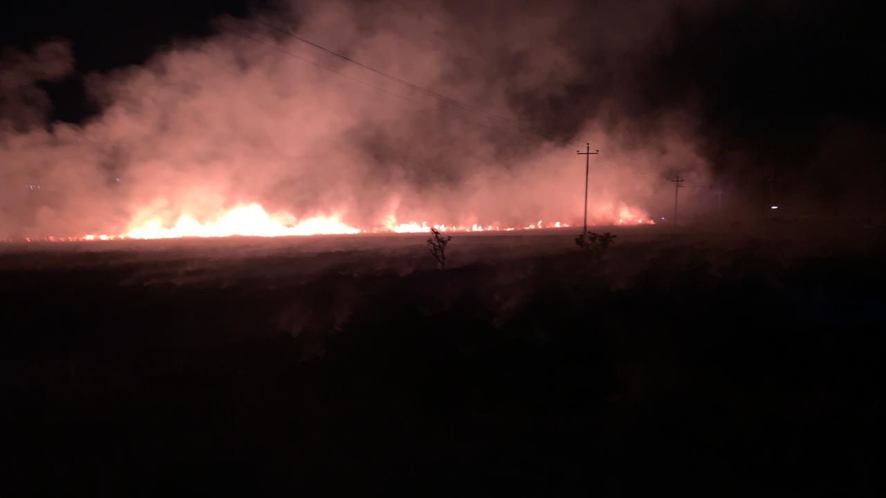 Combaten incendio en San Antonio de las Alazanas