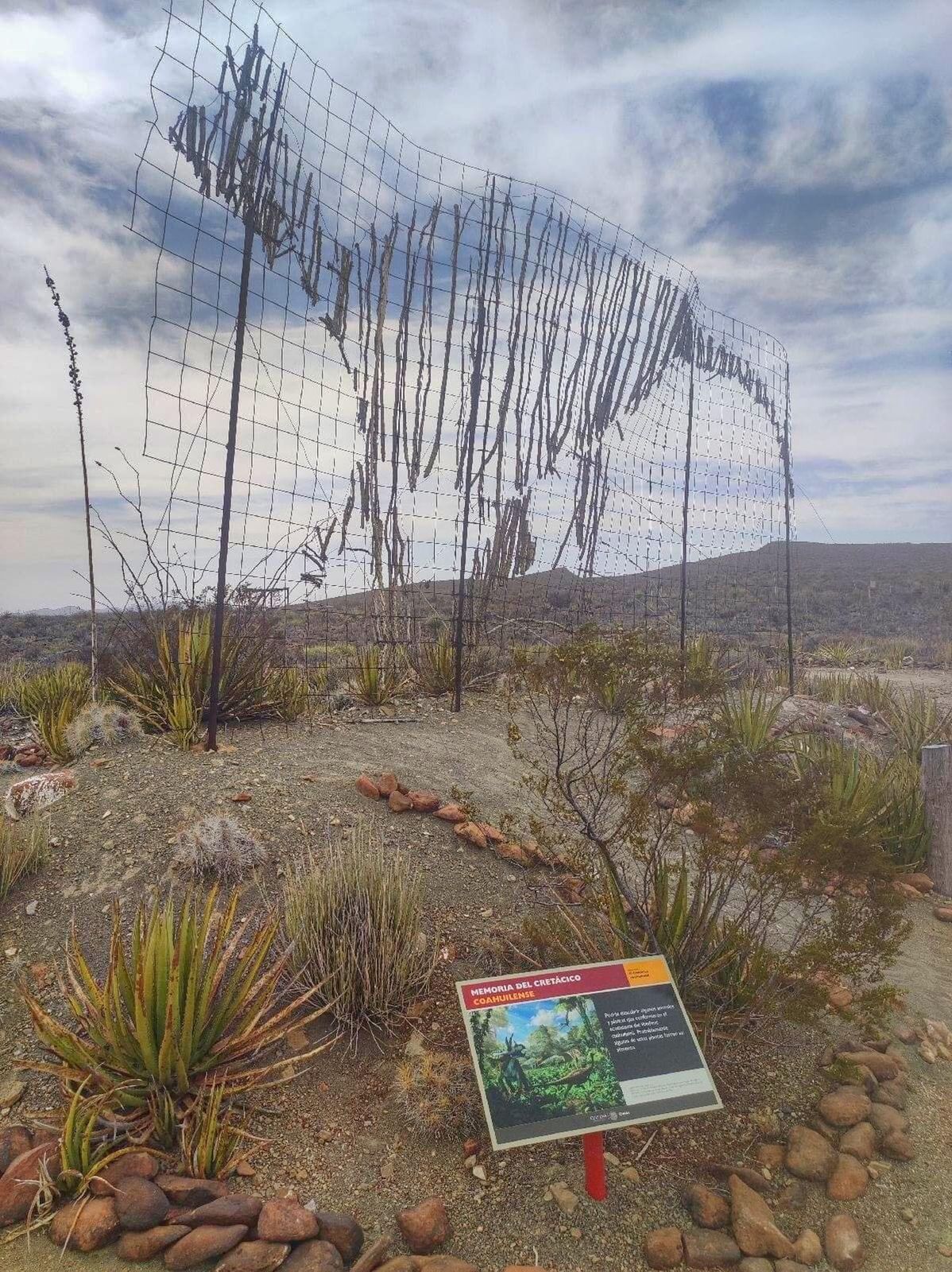 Exhortan a paseantes a no robar piezas paleontológicas en zonas protegidas