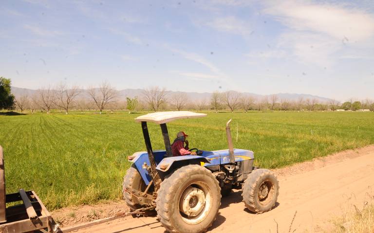 Pese a sequía, garantizan ciclo agrícola en la Laguna