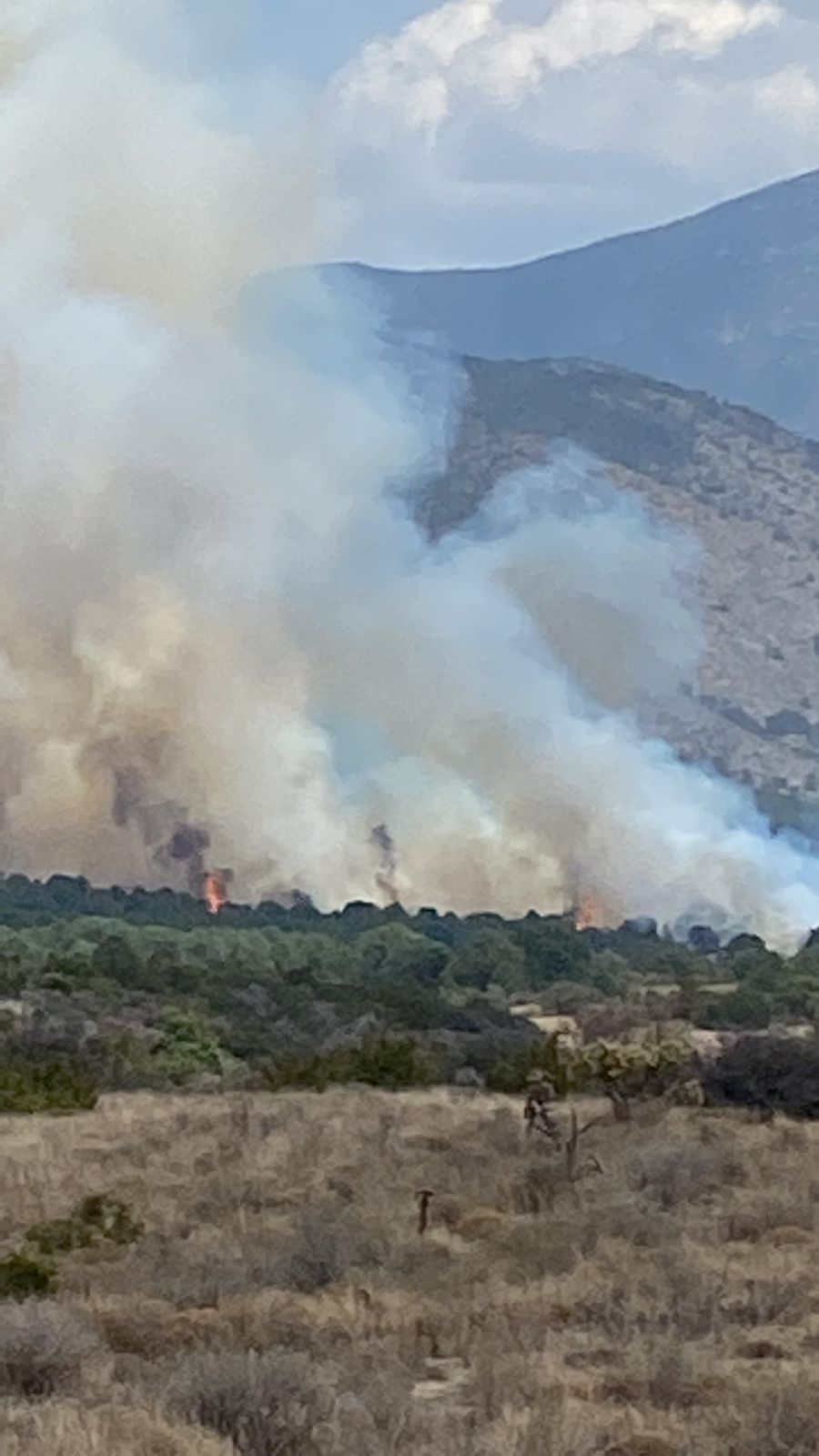 Se registra incendio en la Sierra de Artega