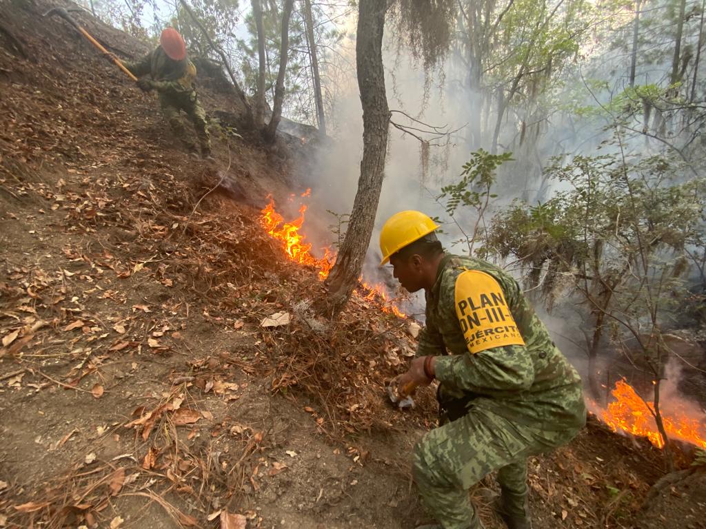Aplica Sedena Plan DN-III-E en incendio forestal de Nuevo León