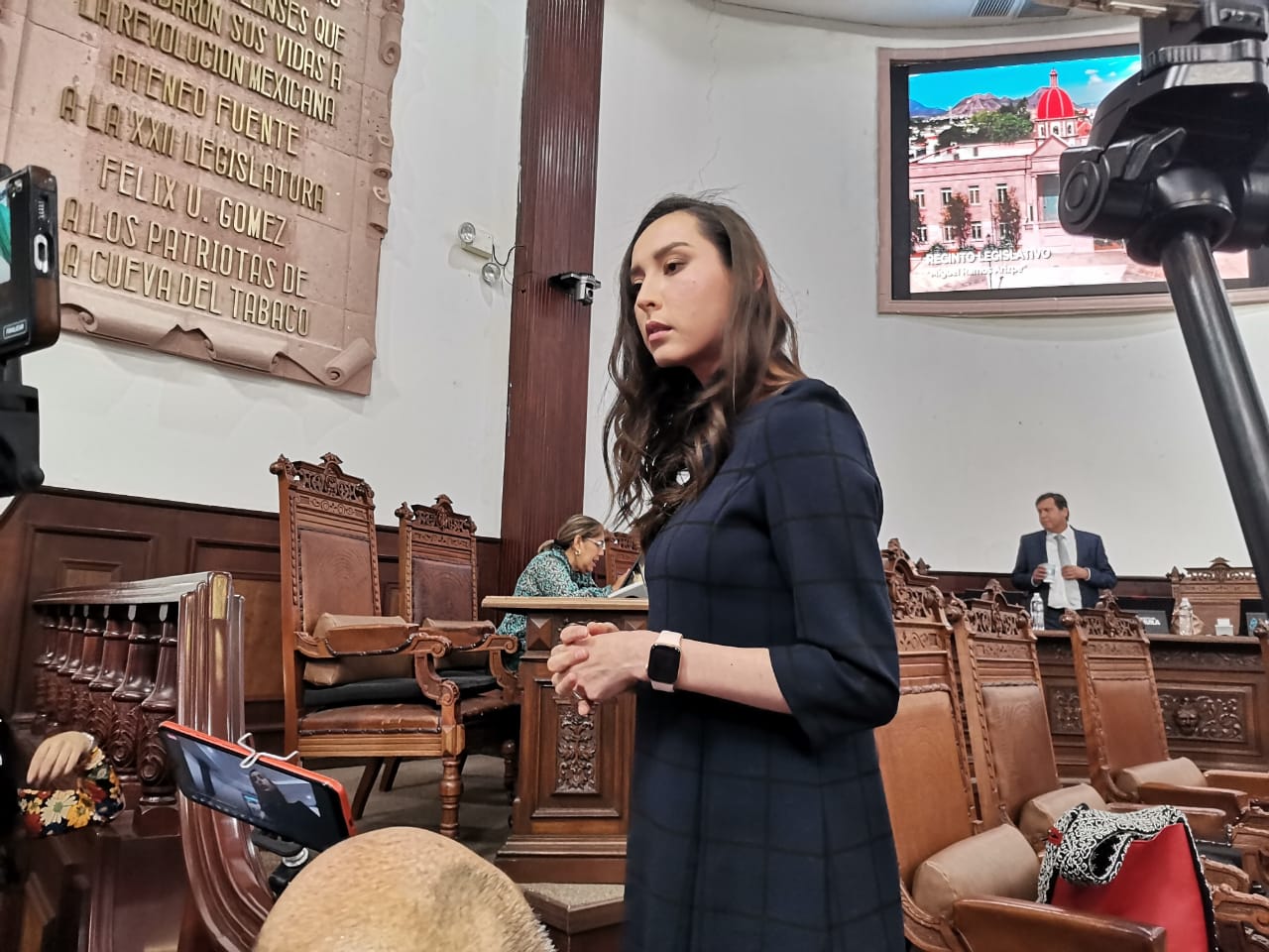 Evade diputada hablar sobre uso del avión militar para propaganda