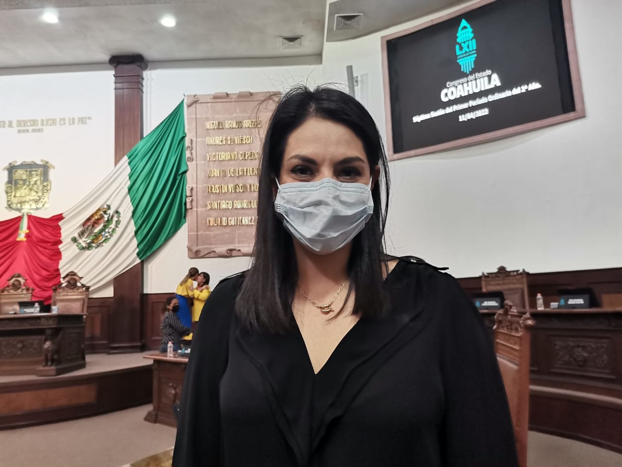 Un despilfarro, consulta de Revocación de Mandato: Luz Elena Morales