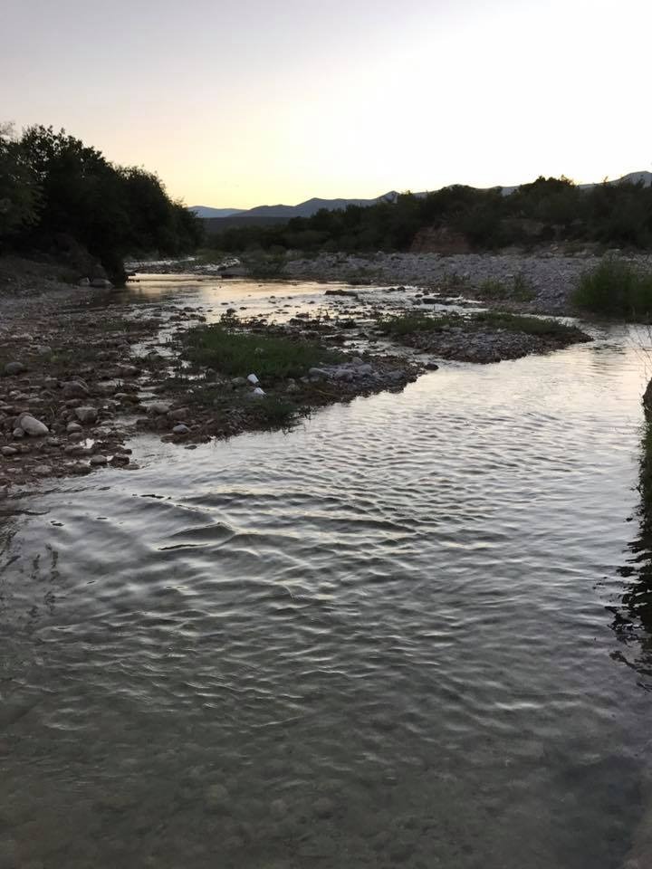 Lluvias recientes son insuficientes para el campo: ganadero