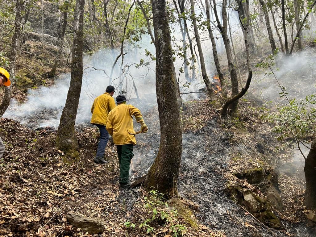 Participa municipio en combate al fuego en Cañón de San Lorenzo
