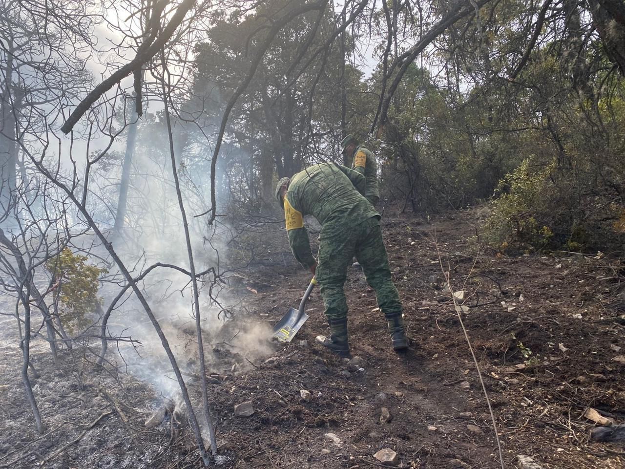 Controlan incendio de Los Lirios, investigarán si fue provocado