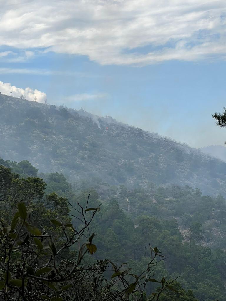 Se registra un nuevo incendio en la Sierra de Arteaga