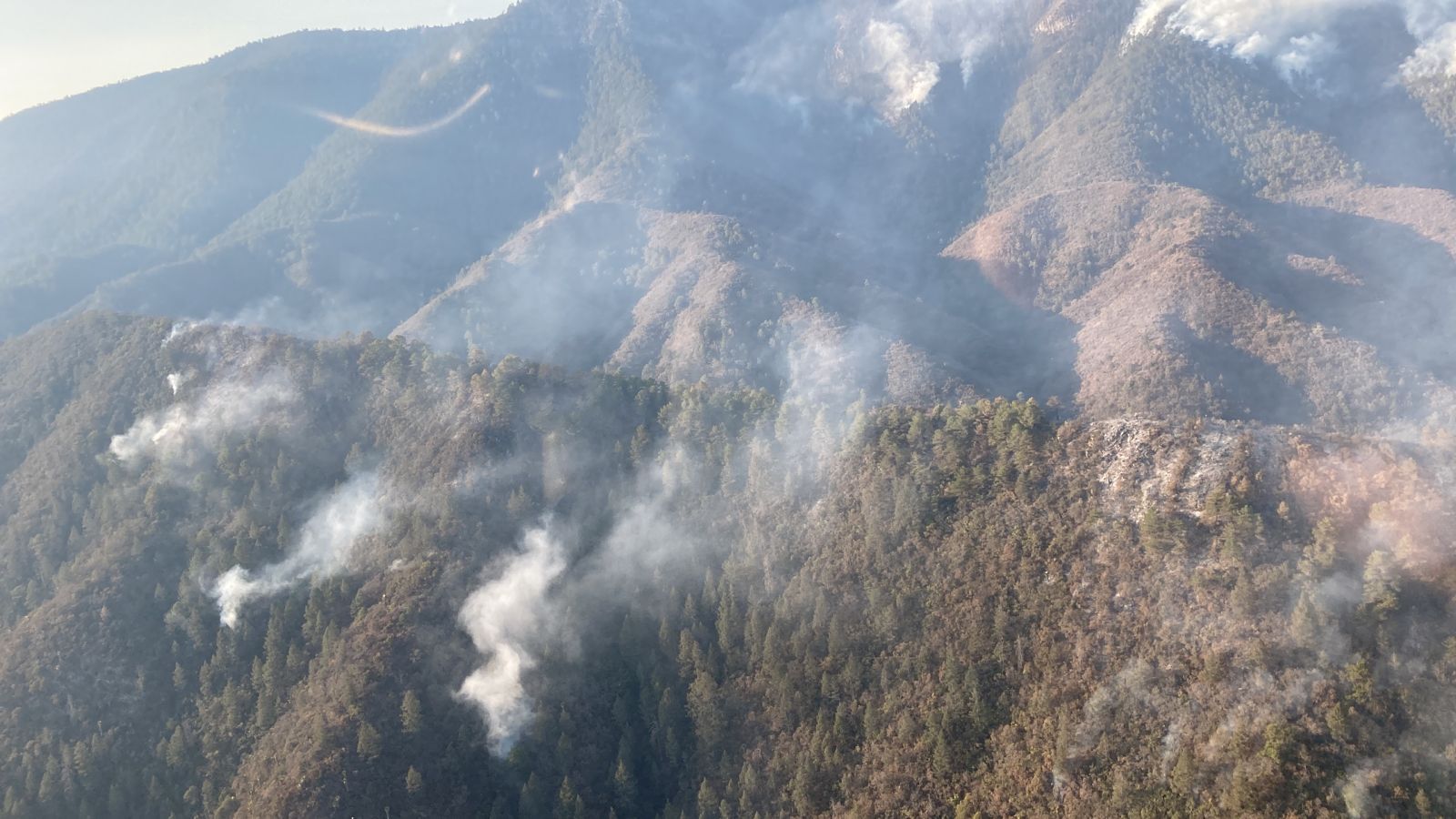 Van más de 600 hectáreas consumidas por el fuego