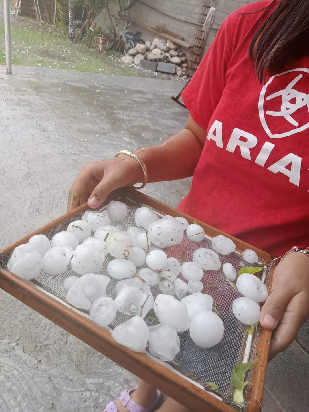 Graniza en Múzquiz y Castaños