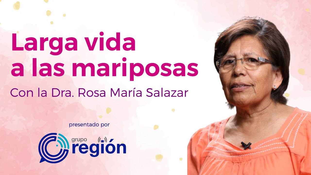 Pensión alimenticia, un derecho de los niños y niñas