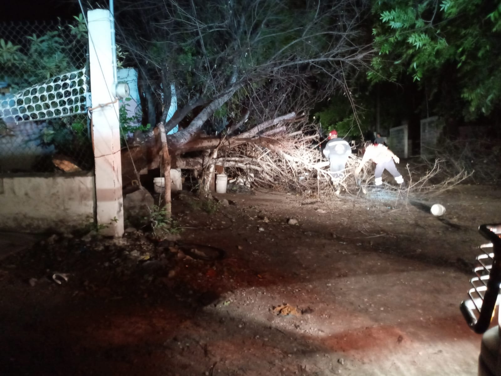 Sorprende tormenta en la Región Carbonífera