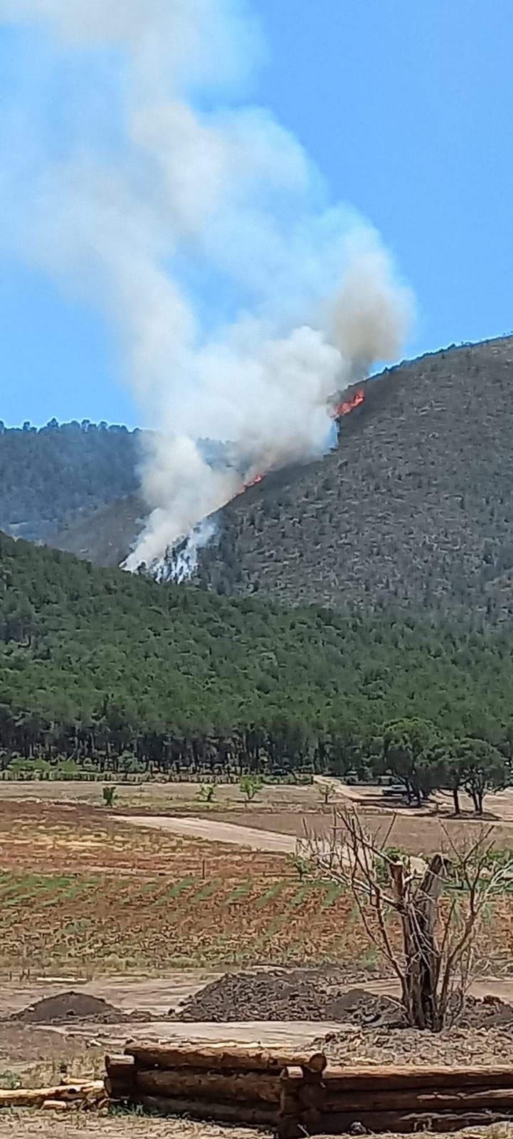 Se registra un nuevo incendio forestal en Arteaga