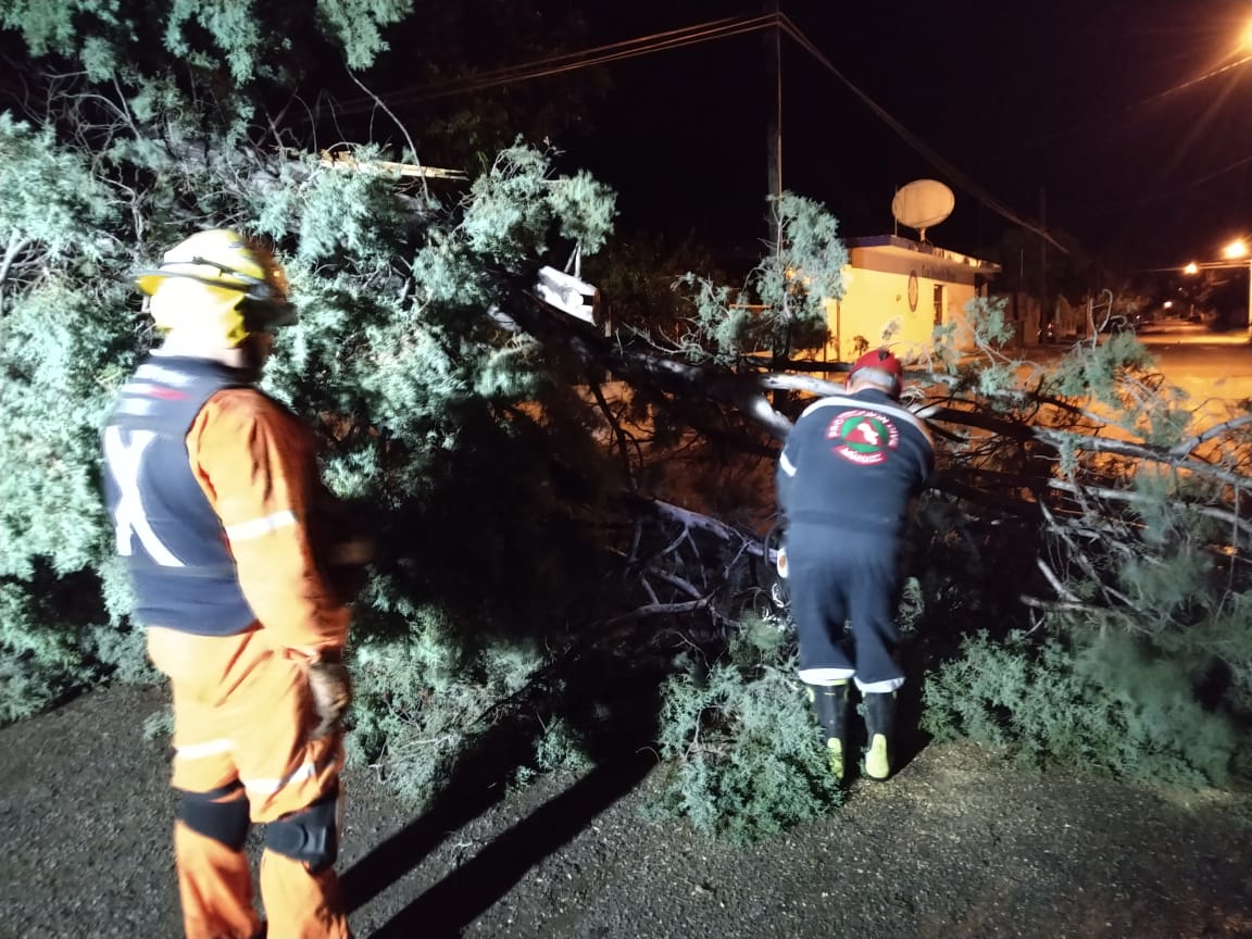 Deja tormenta solo daños materiales en la Carbonífera