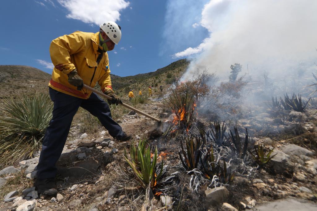 Incendios forestales ¿Una fuerza de la naturaleza?