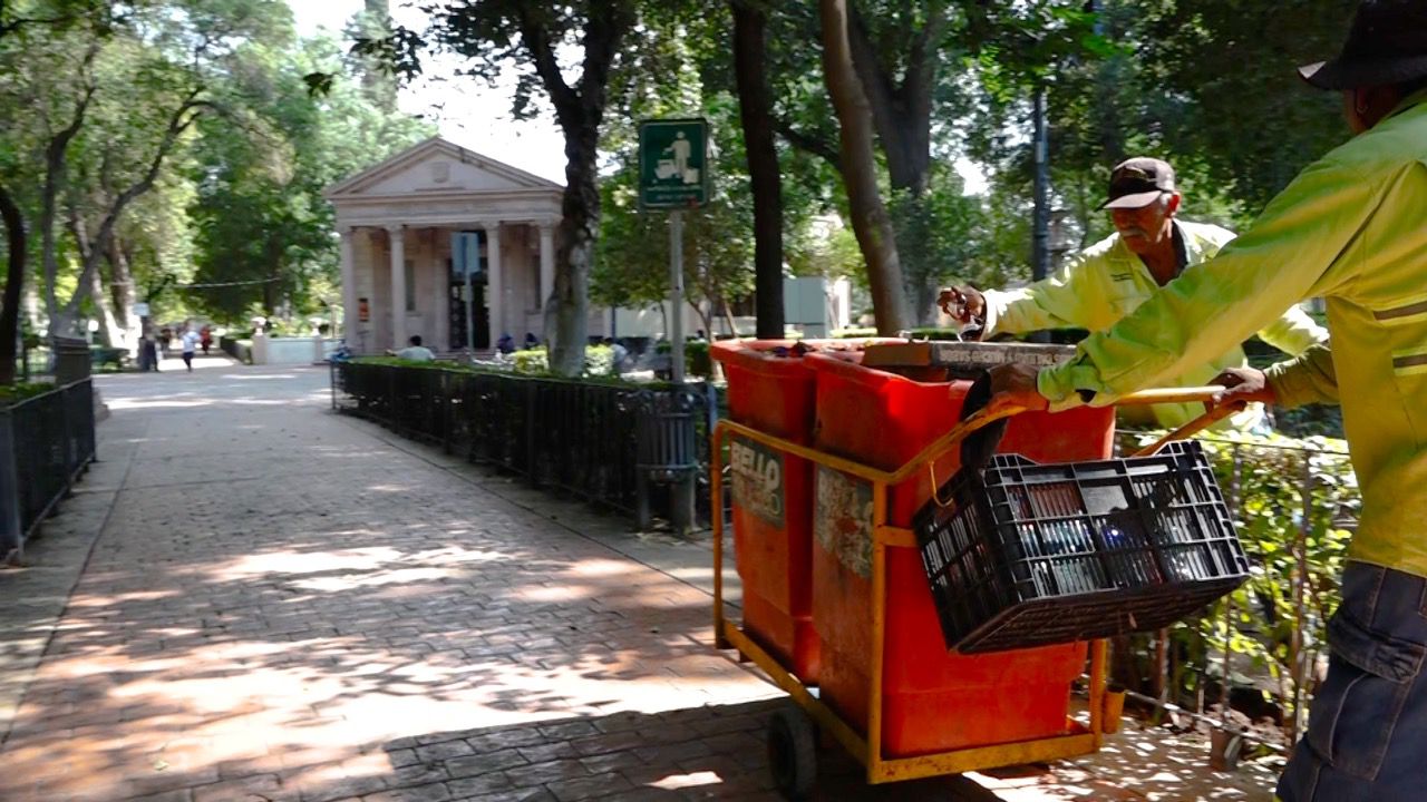 Da Municipio mantenimiento para una Alameda de altura