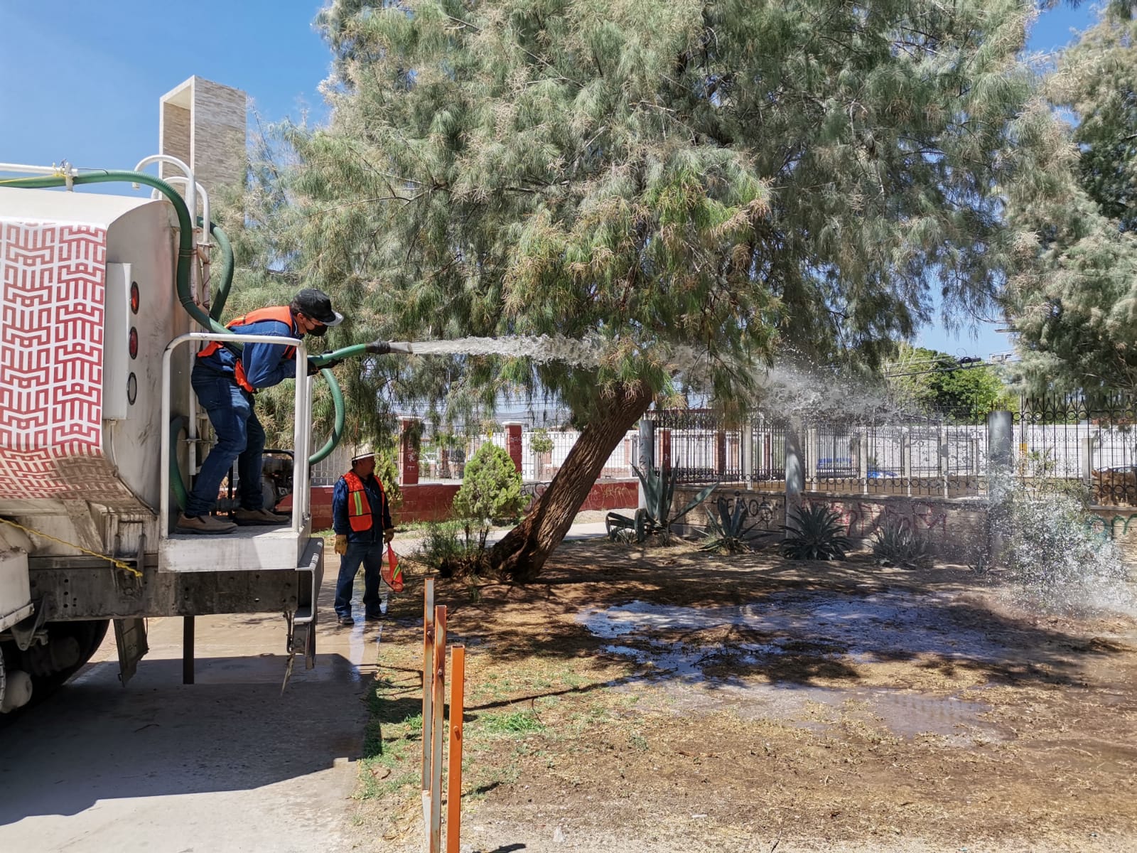 Ascienden a 193 las plazas con riego de agua tratada en Torreón