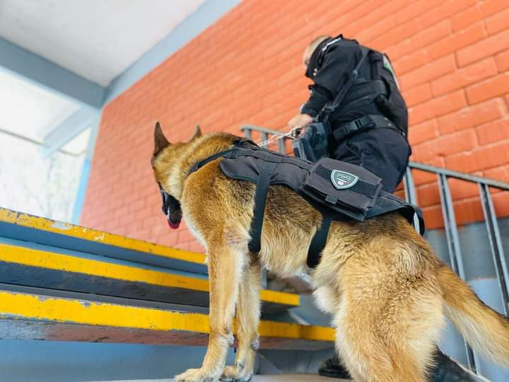 Operativo Mochila ha dado buenos resultados