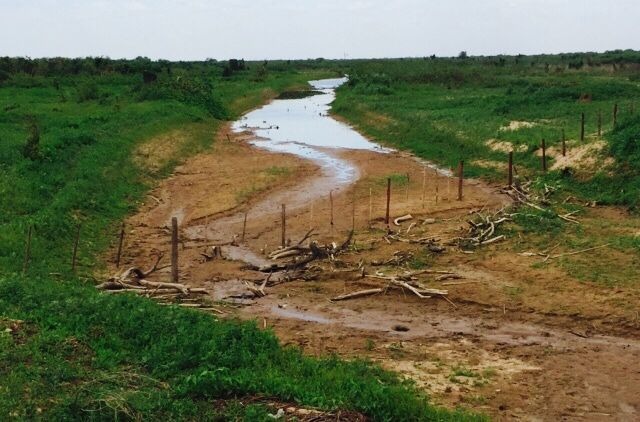 Piden a ciudadanos de Del Río ahorrar agua, inicia etapa 1 de contingencia para sequía