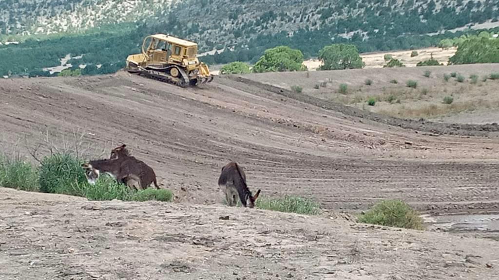 Impulsa Municipio el campo; avanzan más del 90% obras de desazolve