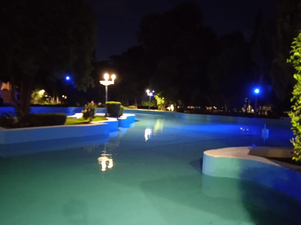 Dan vida al lago de la Alameda Zaragoza
