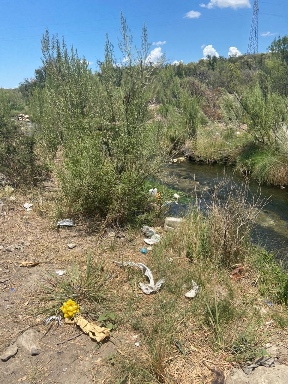 Pide la SMA a turistas no tirar basura en áreas verdes