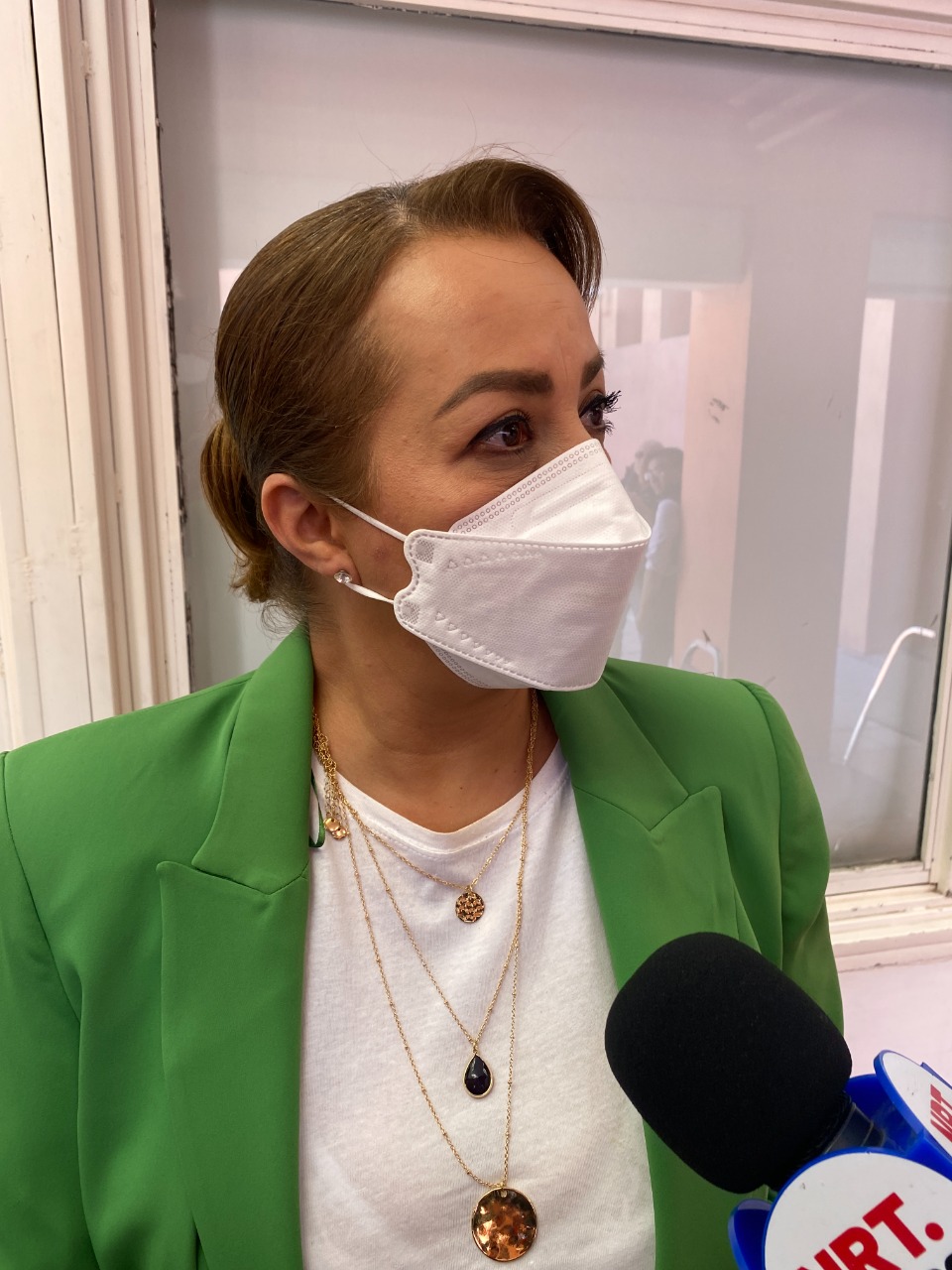Deben incrementarse las penas y multas por maltrato animal.- diputada