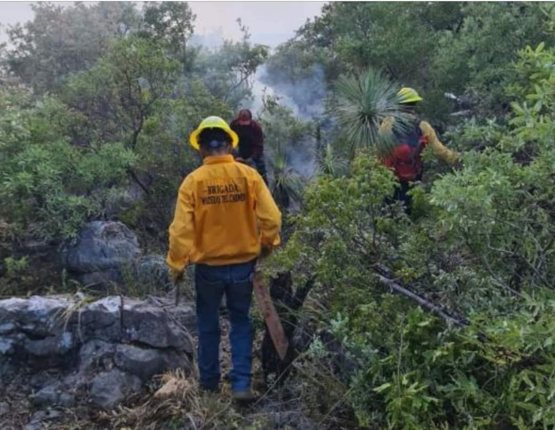 Incendio en Serranas de Múzquiz ha consumido cerca de 400 hectáreas