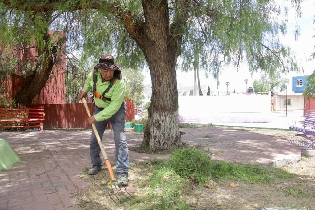 Incansable labor de limpieza en espacios públicos de Saltillo: Sofía Franco
