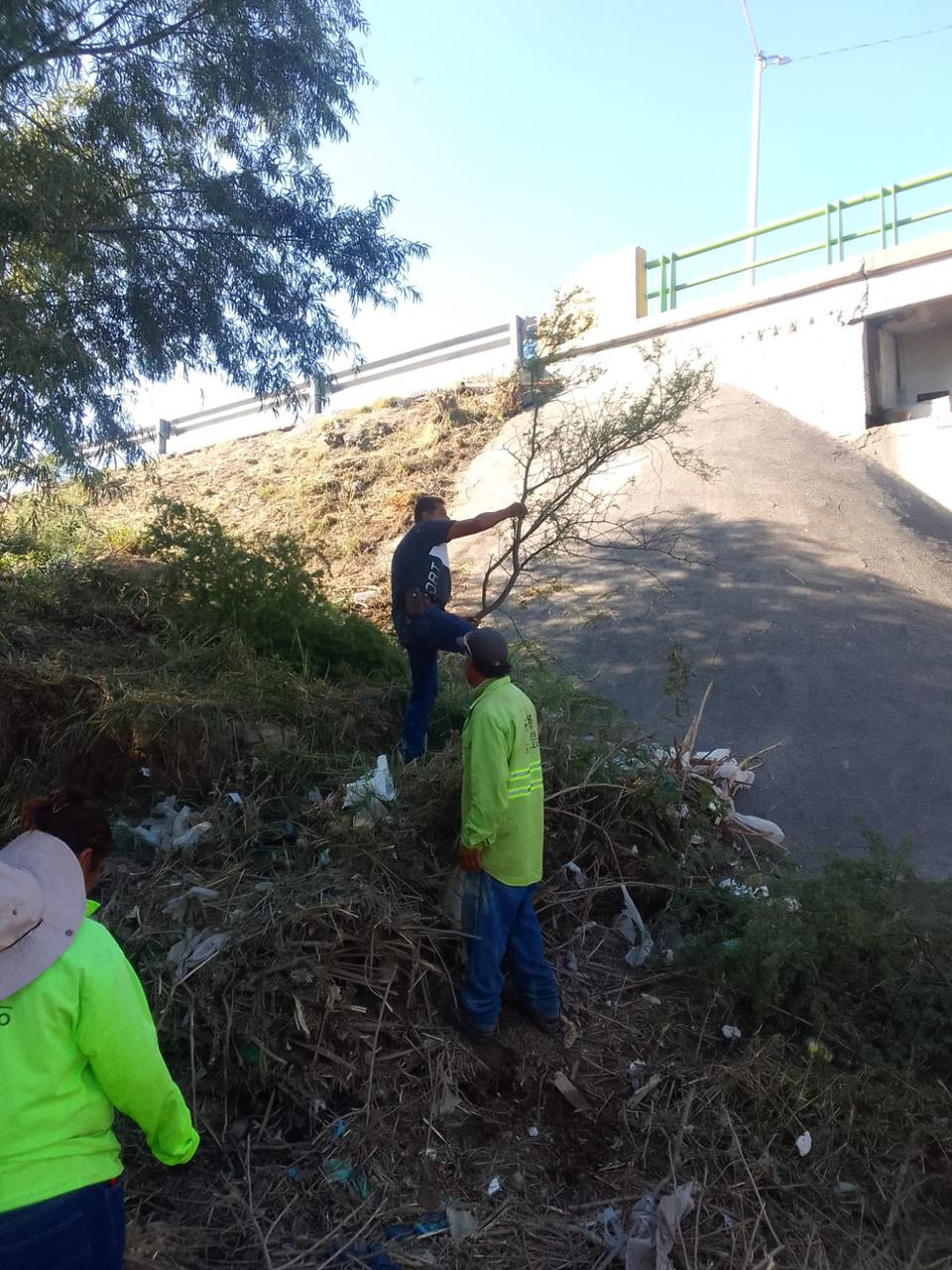Trabaja Saltillo en limpieza de arroyos ante temporada de lluvias